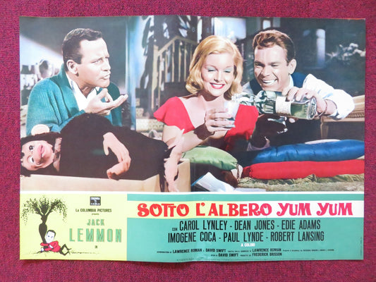 UNDER THE YUM YUM TREE - H ITALIAN FOTOBUSTA POSTER JACK LEMMON C. LYNLEY 1963 Rendezvous Cinema Movie posters