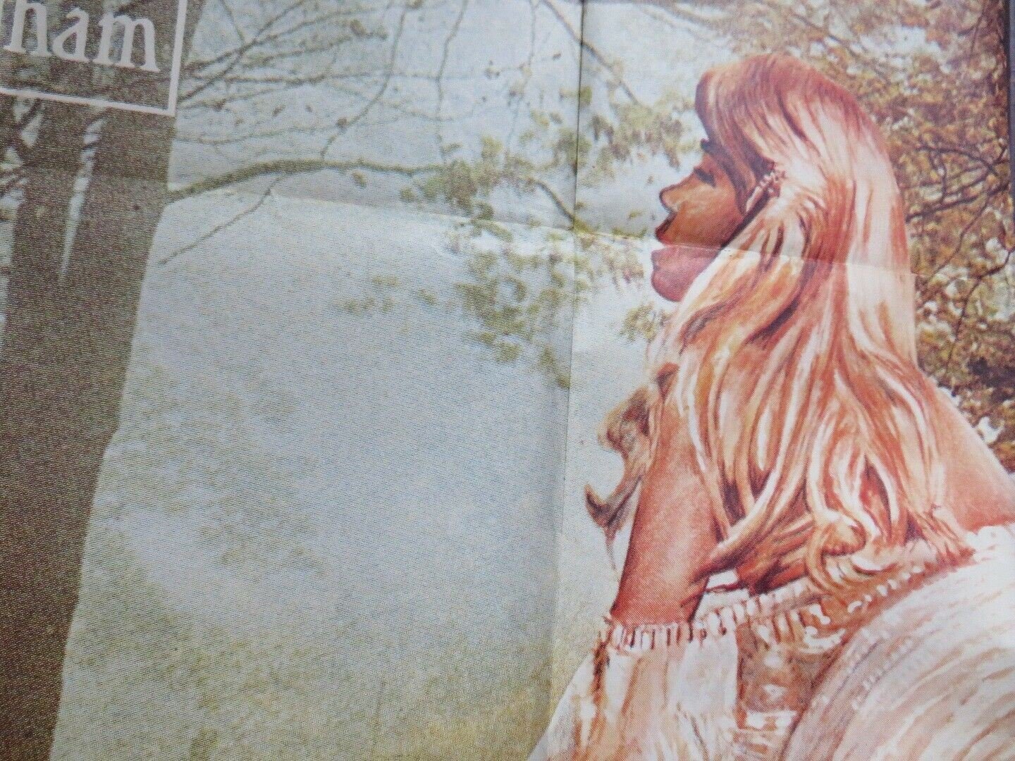 UNE SUEDOISE COQUINE COQUINE / La nipote del prete FRENCH GRANDE POSTER Movie posters