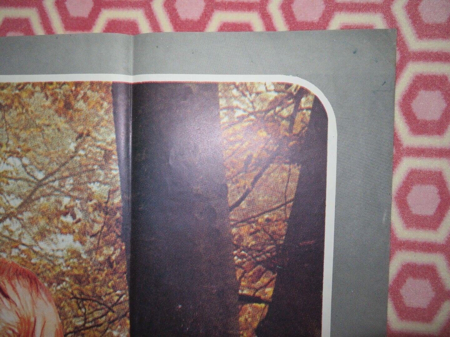 UNE SUEDOISE COQUINE COQUINE / La nipote del prete FRENCH GRANDE POSTER Movie posters