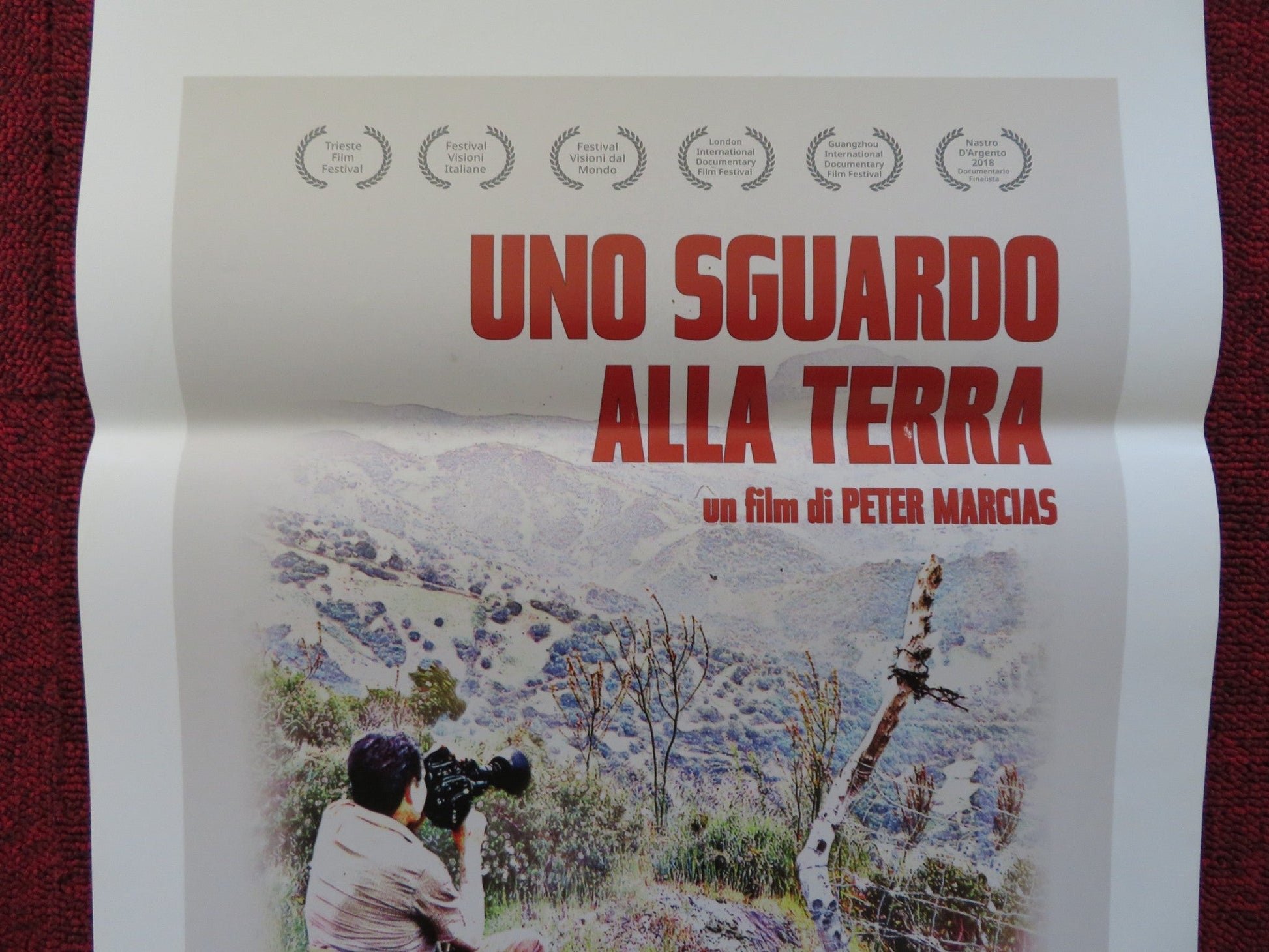 UNO SGUARDO ALLA TERRA ITALIAN LOCANDINA POSTER JOSE LUIS GUERIN T. HEYMANN 2018 Rendezvous Cinema Movie posters