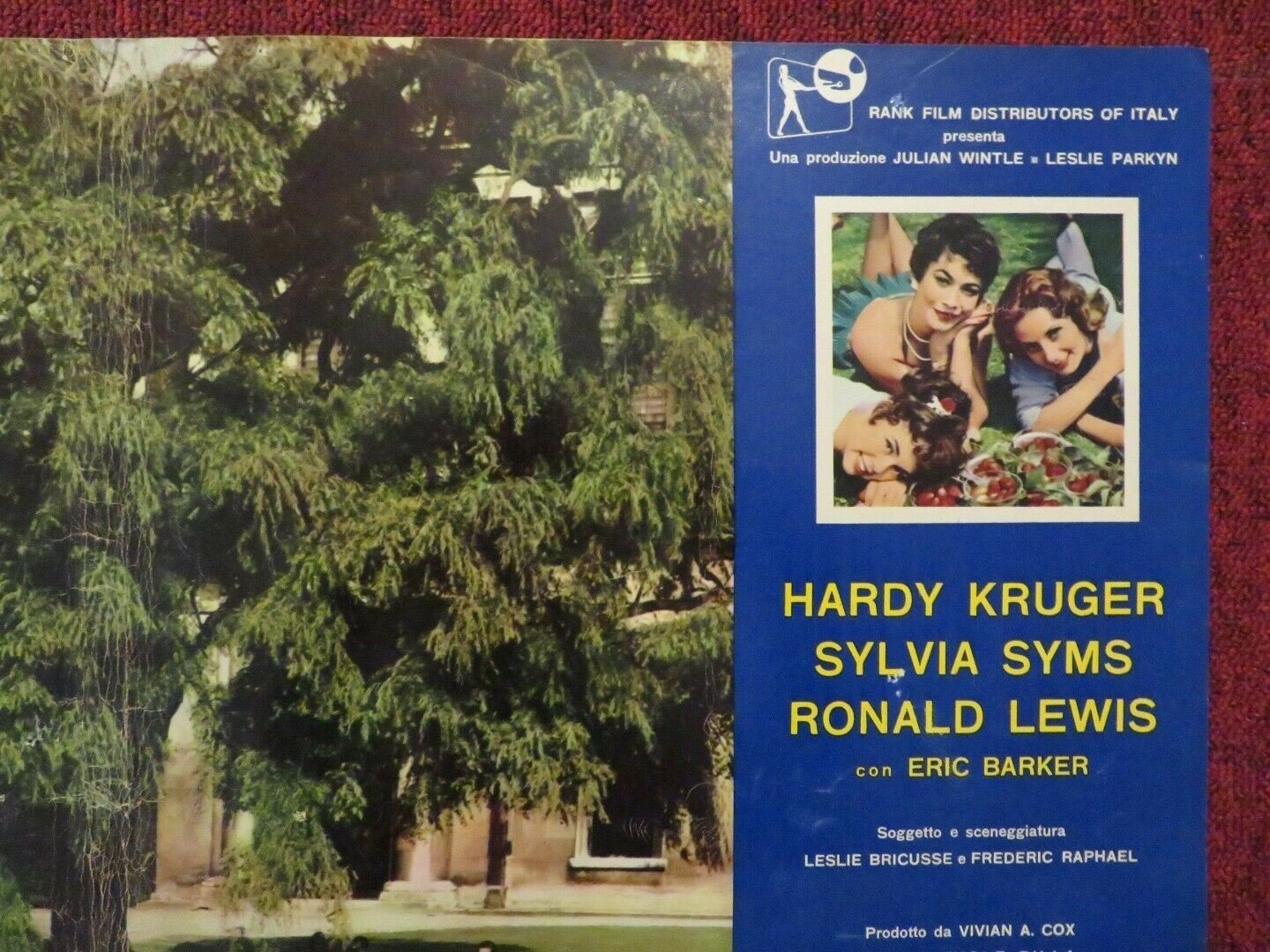 UNO STRANIERO A CAMBRIDGE / BATCHELOR OF HEARTS ITALIAN FOTOBUSTA POSTER 1958 Movie posters