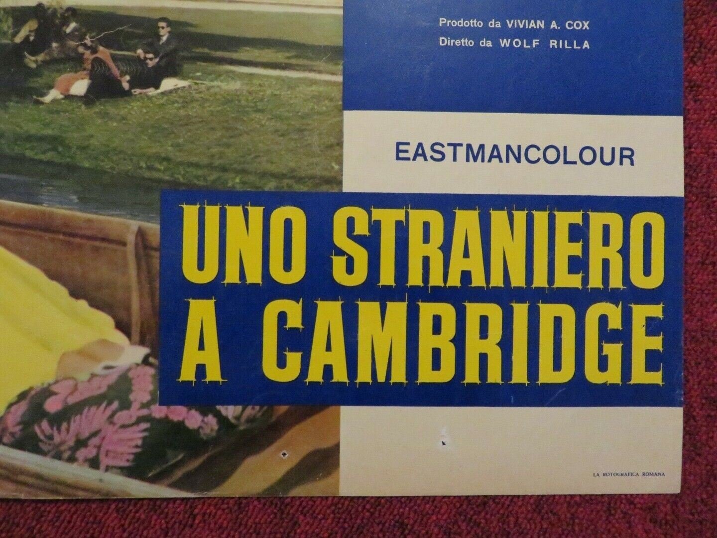 UNO STRANIERO A CAMBRIDGE / BATCHELOR OF HEARTS ITALIAN FOTOBUSTA POSTER 1958 Movie posters