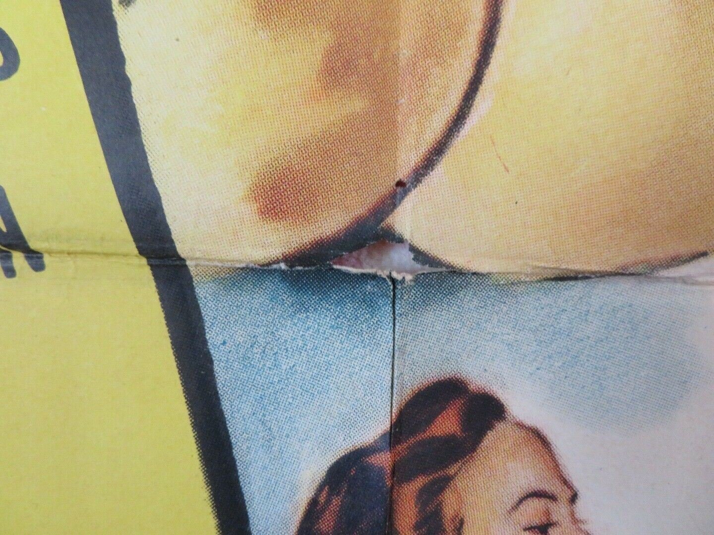 UNTAMED HEIRESS US ONE SHEET (27 x 41)POSTER DONALD BARRY CHARLES LAMONT 1954 Rendezvous Cinema Movie posters