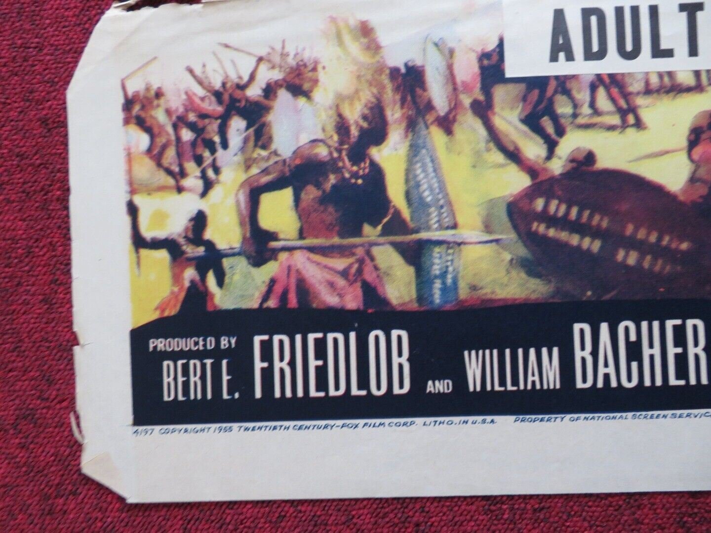 UNTAMED US ONE SHEET POSTER TYRONE POWER SUSAN HAYWARD 1955 Movie posters