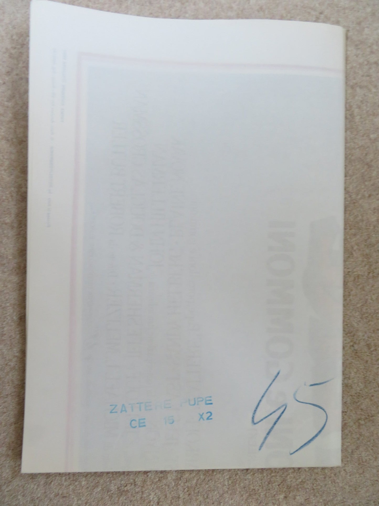 UP THE CREEK ITALIAN 2 FOGLIO POSTER TIM MATHESON JENNIFER RUNYON 1984 Rendezvous Cinema Movie posters