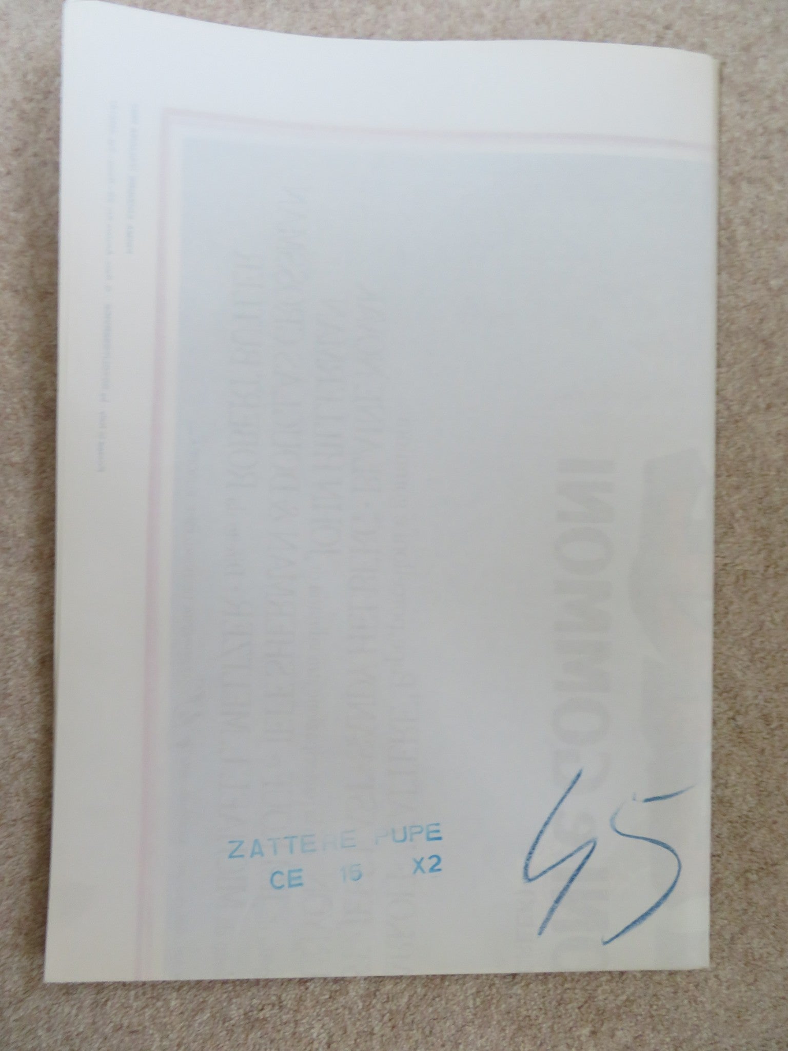 UP THE CREEK ITALIAN 2 FOGLIO POSTER TIM MATHESON JENNIFER RUNYON 1984 Rendezvous Cinema Movie posters