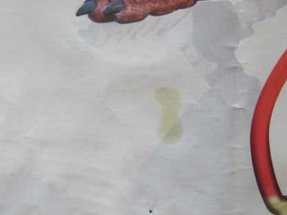 VALIANT UK QUAD (30"x 40") ROLLED POSTER EWAN MCGREGOR RICKY GERVAIS 2005 Rendezvous Cinema Movie posters