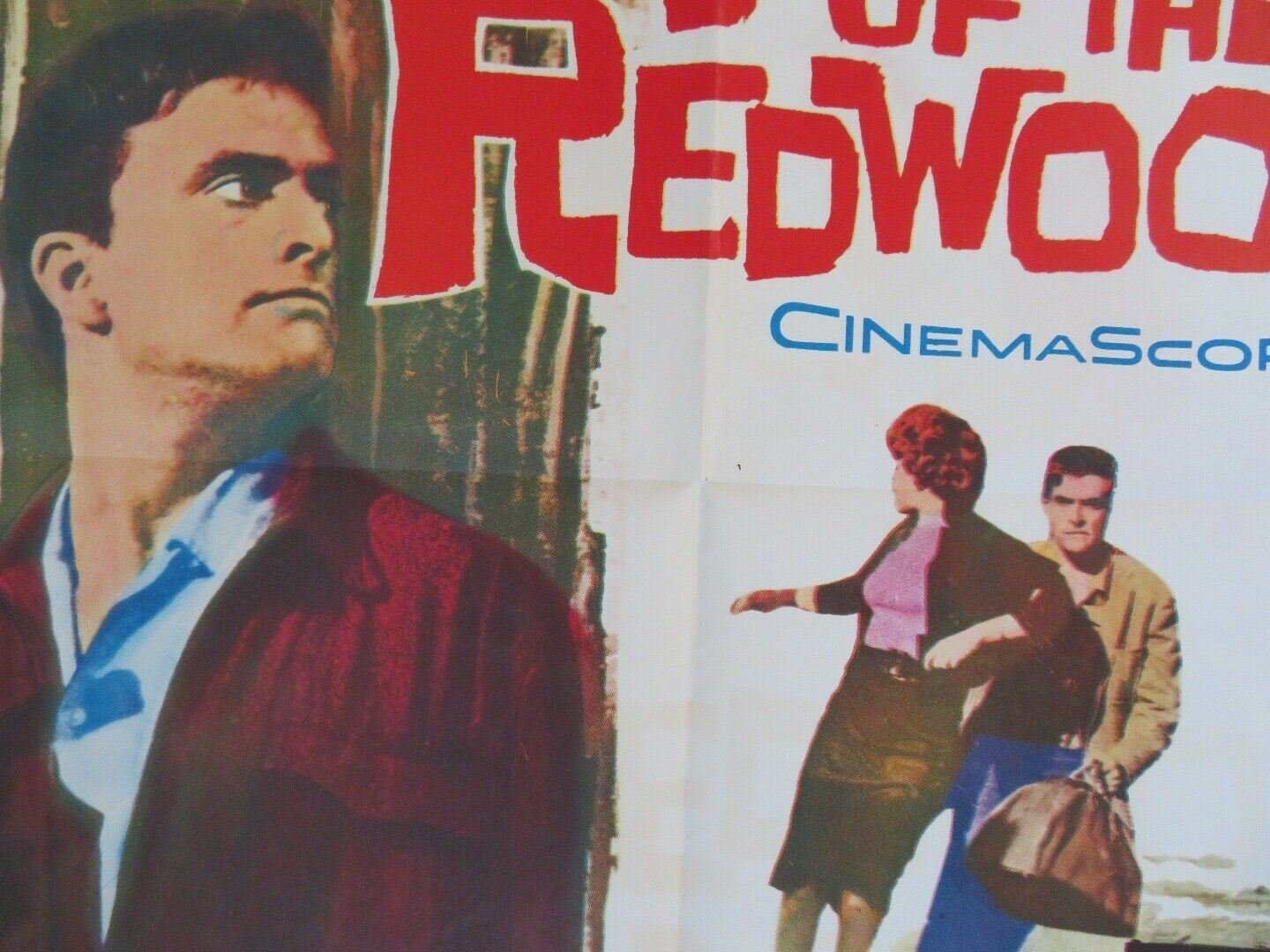 VALLEY OF THE REDWOODS US ONE SHEET POSTER JOHN HUDSON LYNN BERNAY Rendezvous Cinema Movie posters