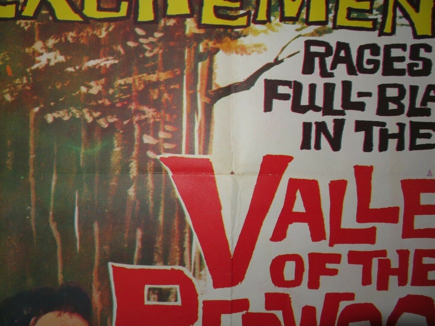 VALLEY OF THE REDWOODS US ONE SHEET POSTER JOHN HUDSON LYNN BERNAY Rendezvous Cinema Movie posters