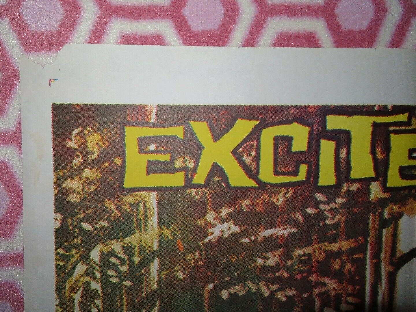 VALLEY OF THE REDWOODS US ONE SHEET POSTER JOHN HUDSON LYNN BERNAY Rendezvous Cinema Movie posters