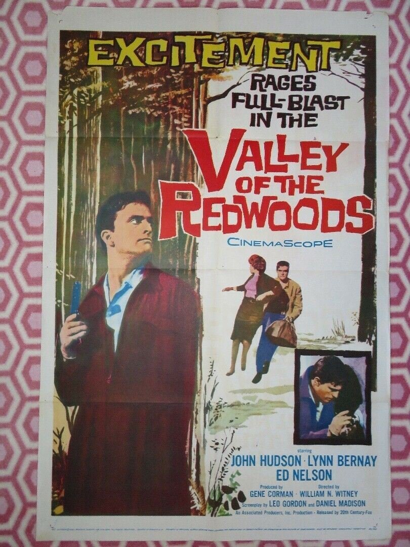 VALLEY OF THE REDWOODS US ONE SHEET POSTER JOHN HUDSON LYNN BERNAY Rendezvous Cinema Movie posters