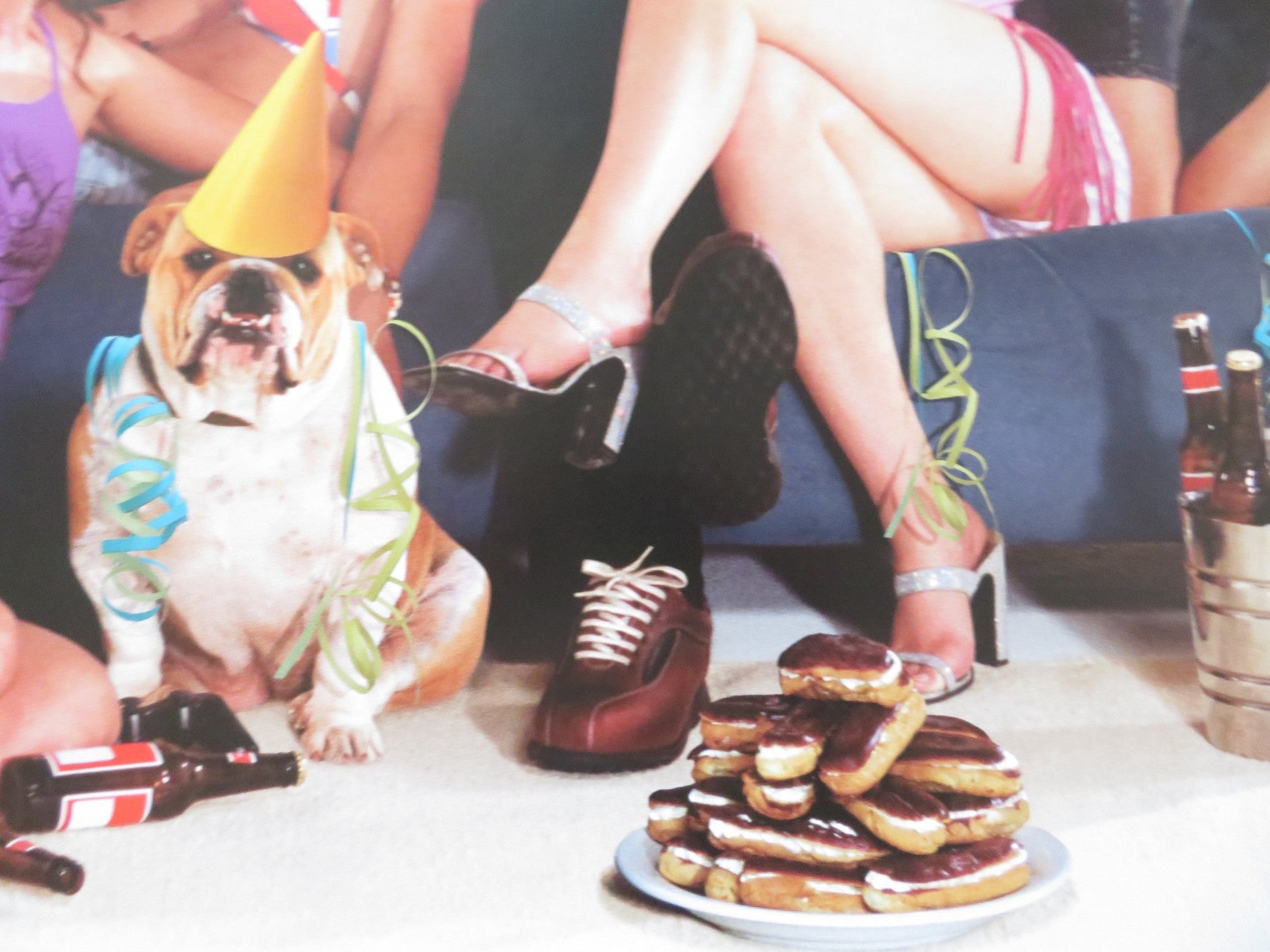 VAN WILDER: PARTY LIAISON UK QUAD (30"x 40") ROLLED POSTER RYAN REYNOLDS 2002 Rendezvous Cinema Movie posters