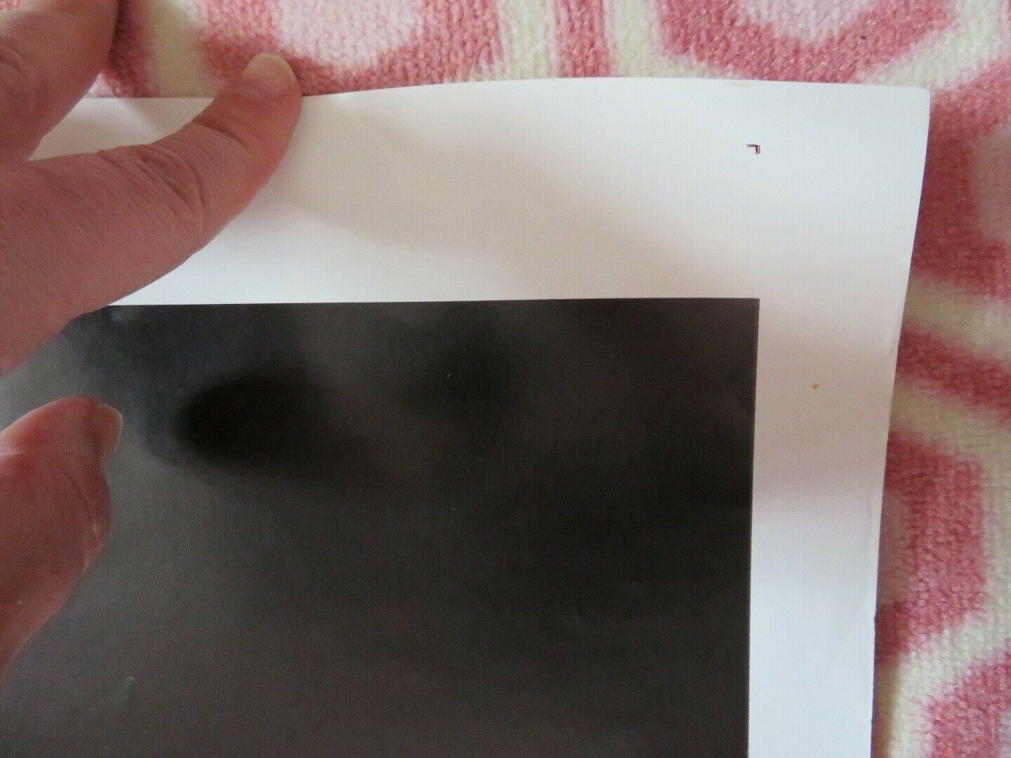 VENOM US ONE SHEET POSTER KLAUS KINSKI OLIVER REED 1981 - Rendezvous Cinema