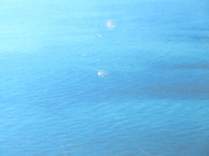 VILLA AMALIA UK QUAD ROLLED POSTER ISABELLE HUPPERT JEAN - HUGHES ANGLADE 2009 Rendezvous Cinema Movie posters