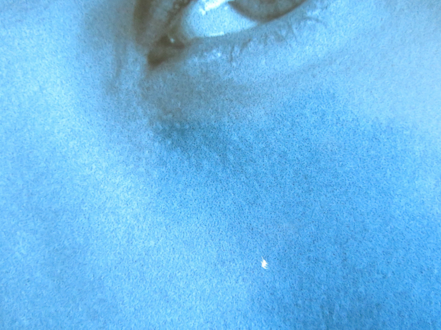 VIRUS - b US ONE SHEET ROLLED POSTER JAMIE LEE CURTIS WILLIAM BALDWIN 1999 Rendezvous Cinema Movie posters