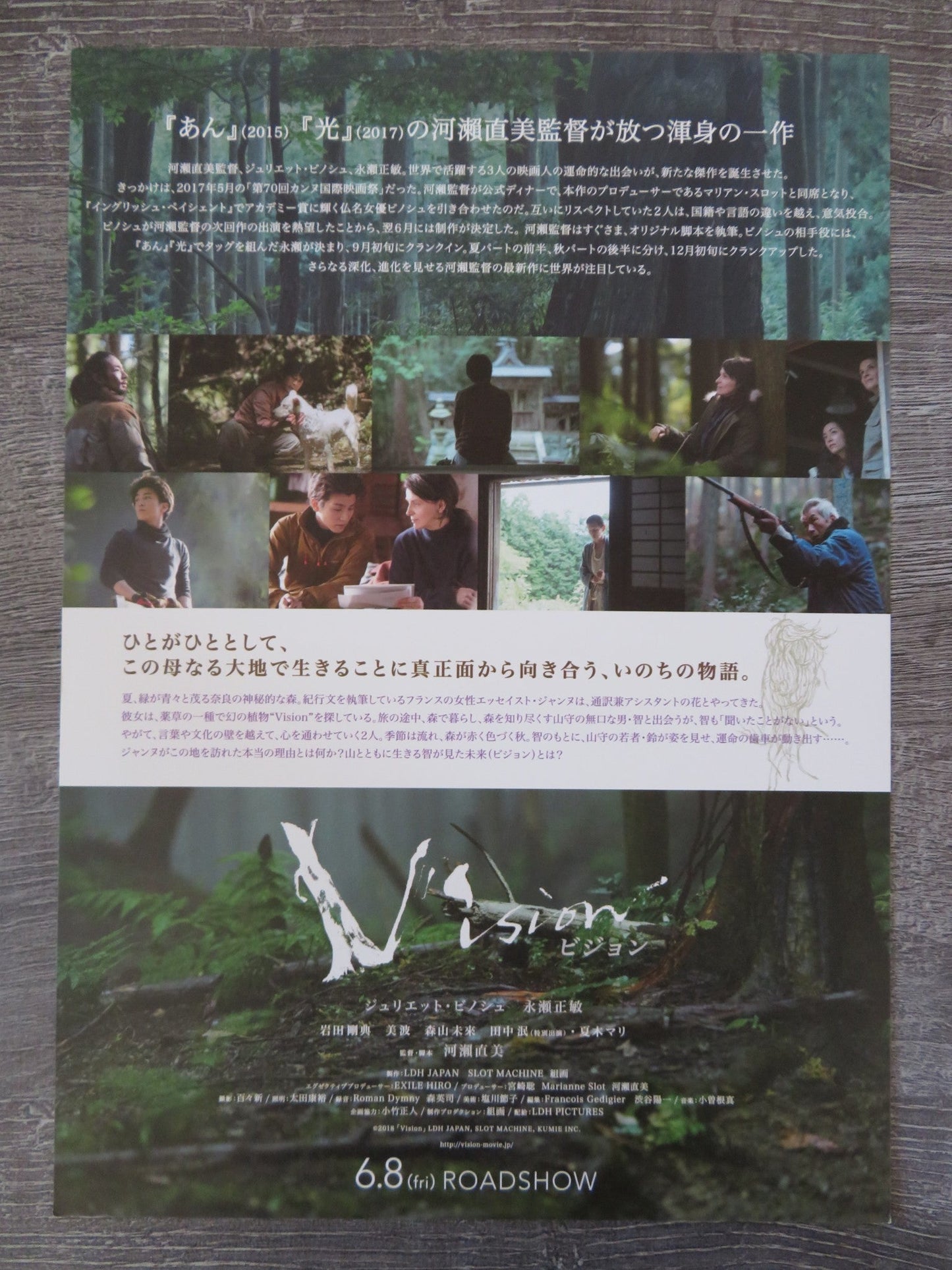 VISION JAPANESE CHIRASHI (B5) POSTER JULIETTE BINOCHE 2018 Rendezvous Cinema Movie posters