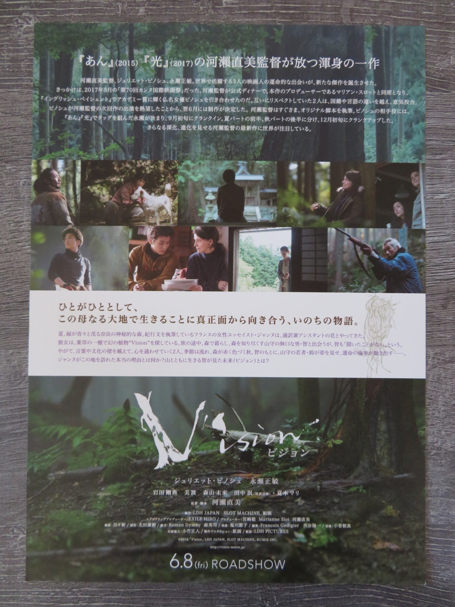 VISION JAPANESE CHIRASHI (B5) POSTER JULIETTE BINOCHE 2018 Rendezvous Cinema Movie posters