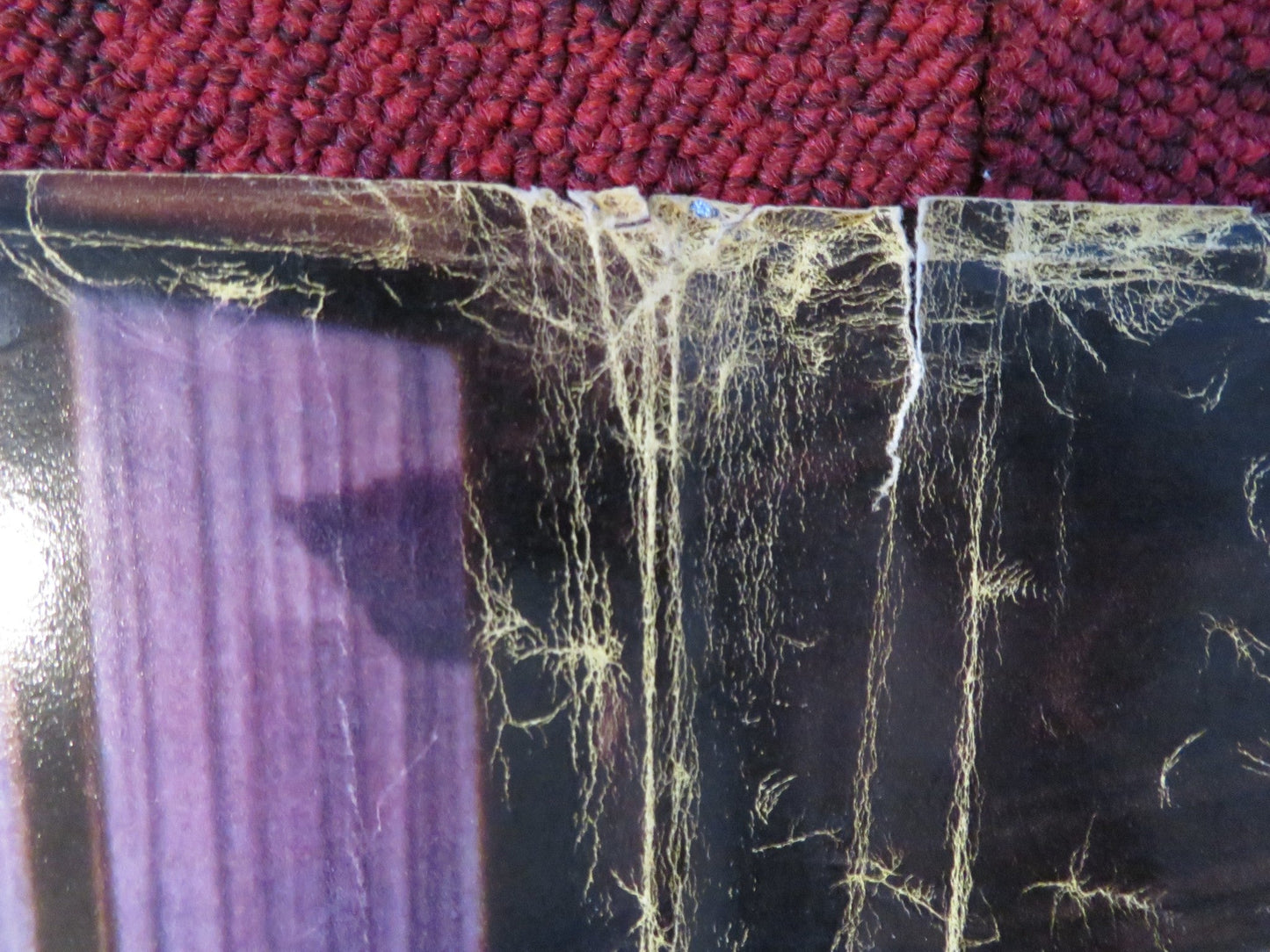 VISIT TO A SMALL PLANET - B ITALIAN FOTOBUSTA POSTER JERRY LEWIS BLACKMAN 1960 Rendezvous Cinema Movie posters