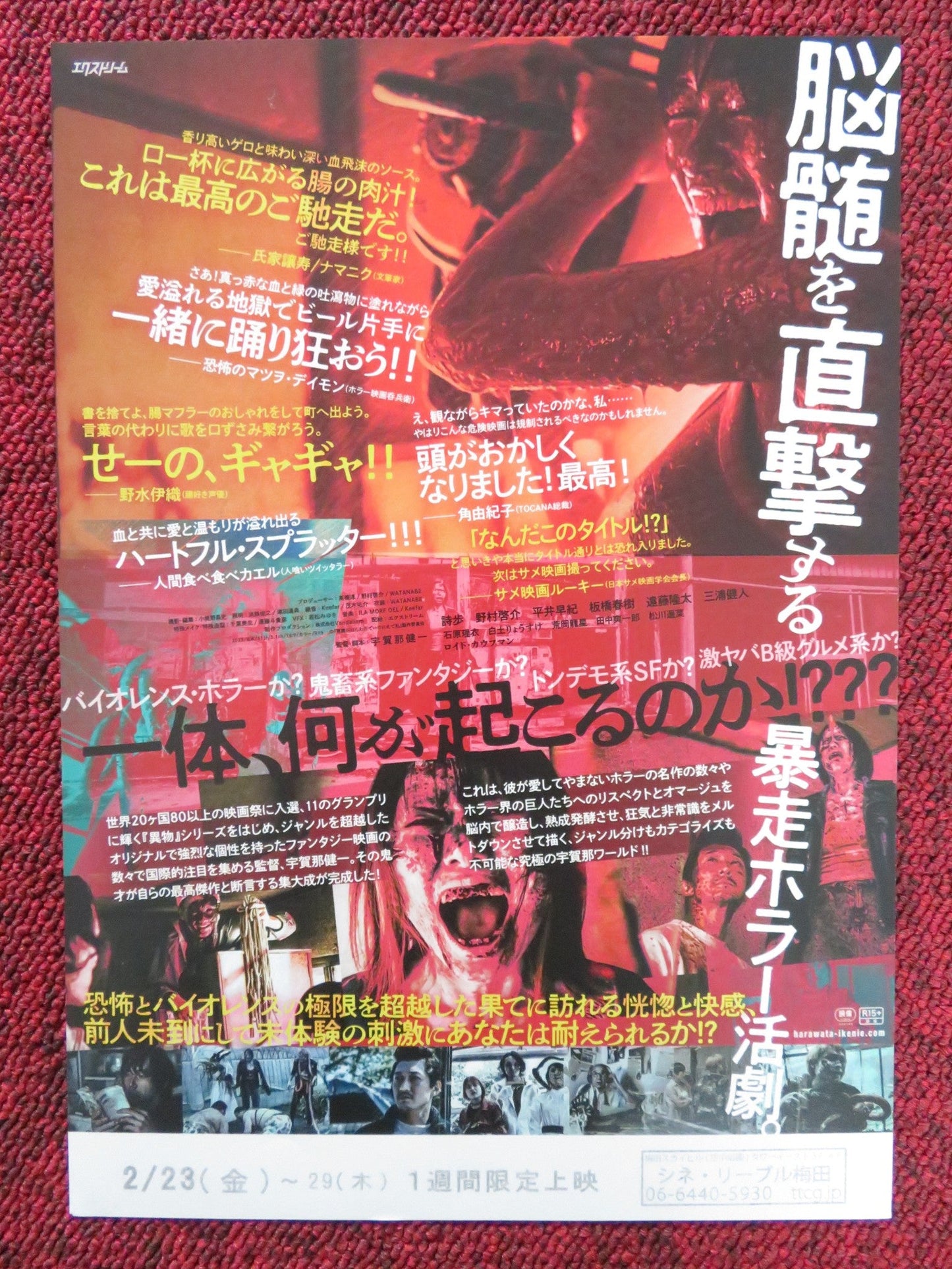 VISITORS - COMPLETE EDITION JAPANESE CHIRASHI (B5) POSTER RYUTA ENDO SAKI 2023 Rendezvous Cinema Movie posters