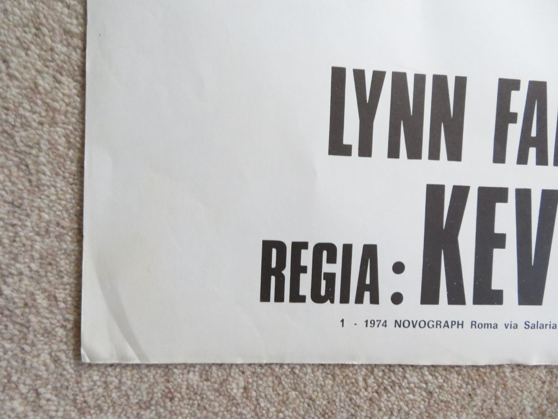 VOICES ITALIAN 2 FOGLIO POSTER DAVID HEMMINGS GAYLE HUNNICUTT 1973 Rendezvous Cinema Movie posters
