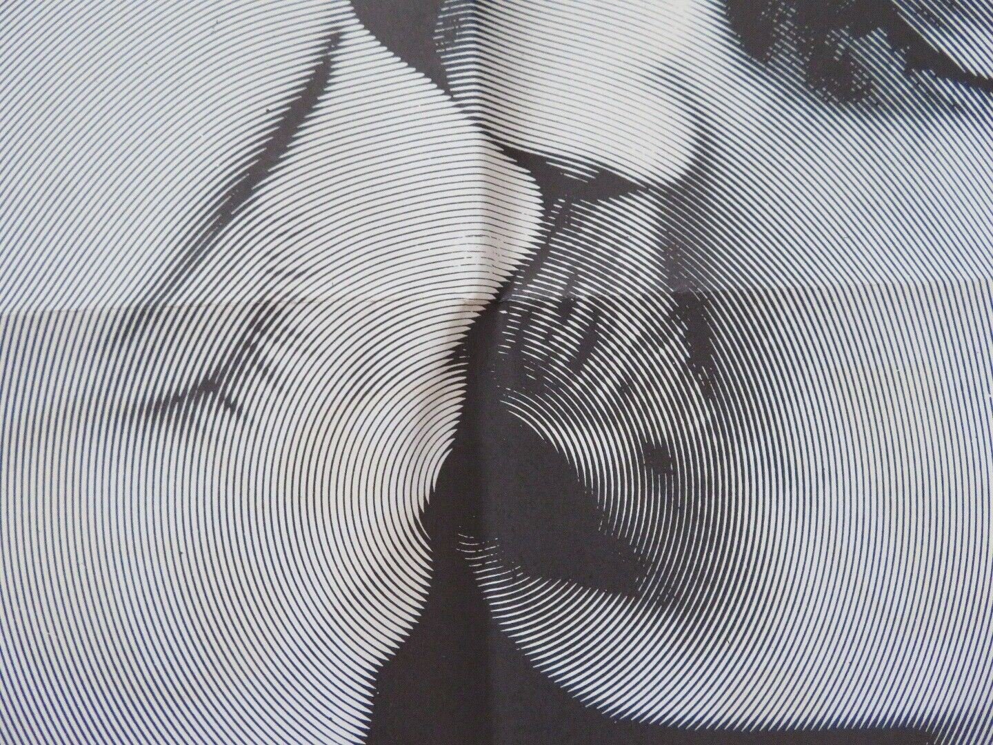 VOICES OF DESIRE FOLDED US ONE SHEET POSTER LIYDA CASSELL GUY THOMAS 1972 - Rendezvous Cinema