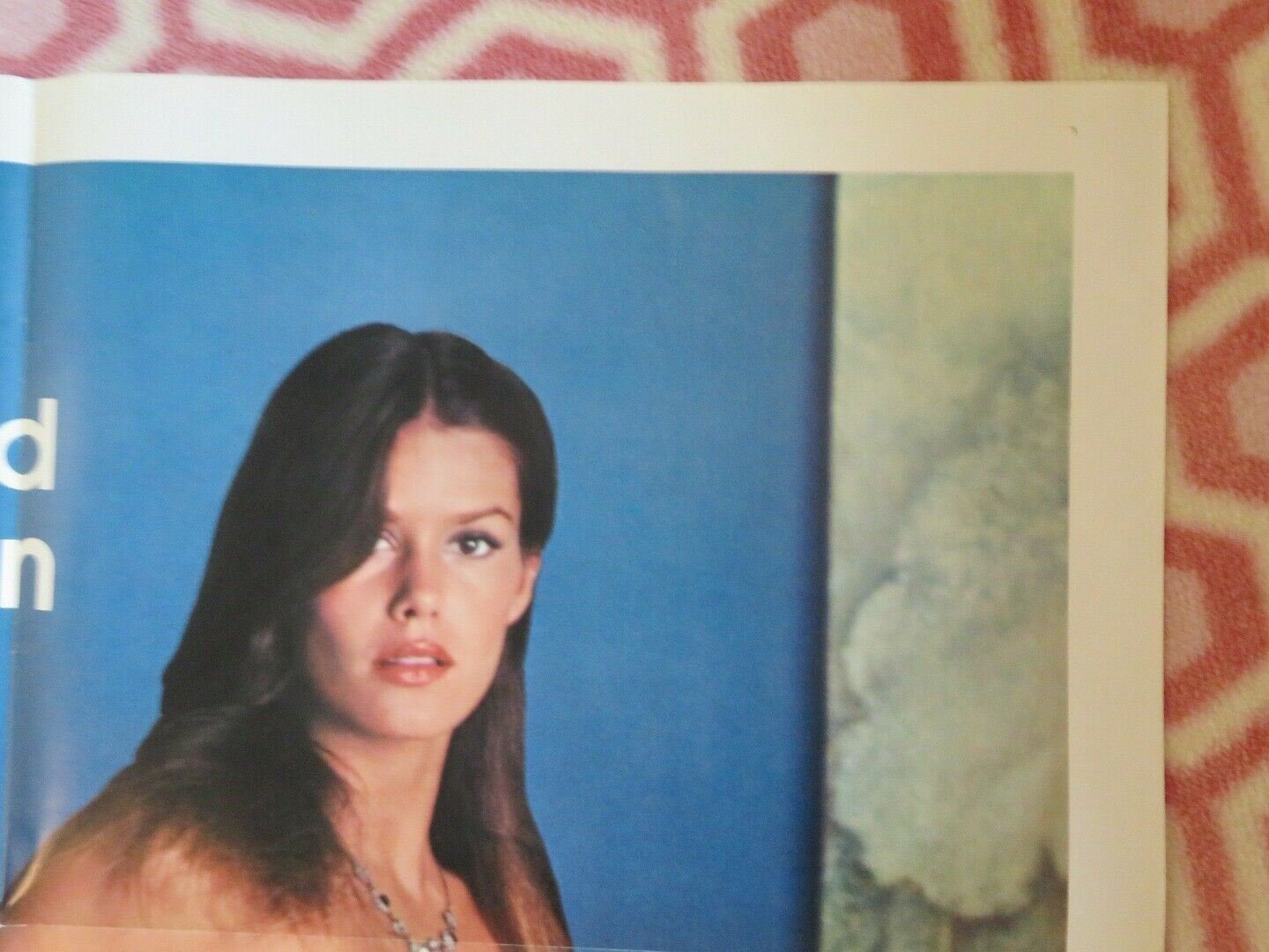 VOLUPTUOUS GRADUATES FOLDED US ONE SHEET POSTER SALLY MARSHALL PENNY WARDEN '80 - Rendezvous Cinema