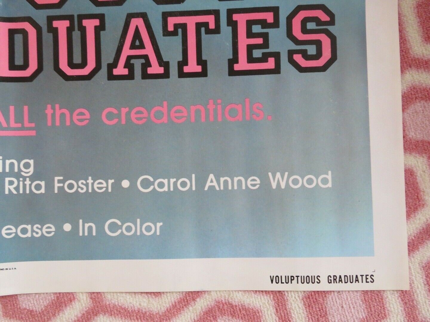 VOLUPTUOUS GRADUATES FOLDED US ONE SHEET POSTER SALLY MARSHALL PENNY WARDEN '80 - Rendezvous Cinema