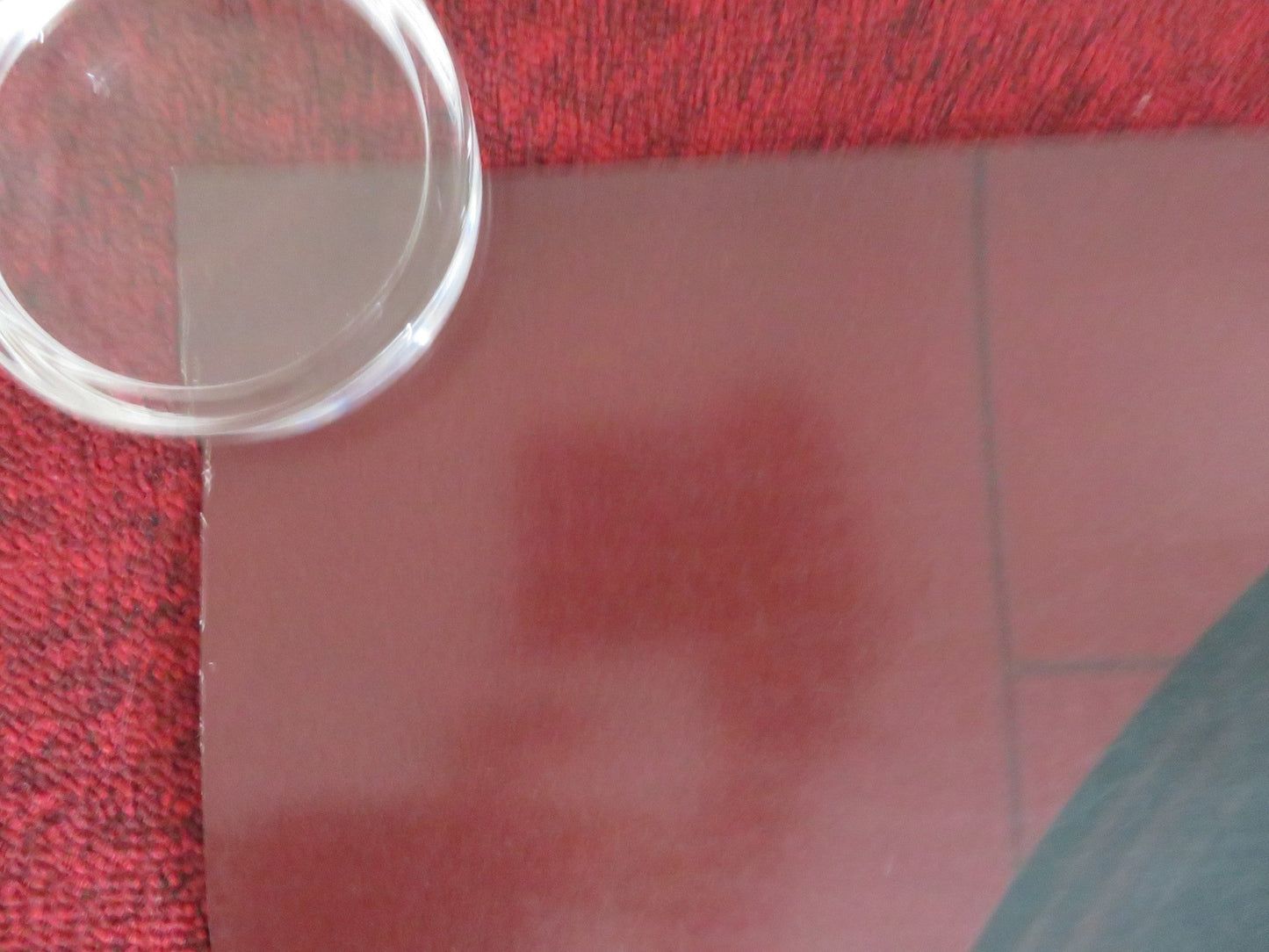 VOYAGERS US ONE SHEET ROLLED POSTER TYE SHERIDAN LILY - ROSE DEPP 2021 Rendezvous Cinema Movie posters