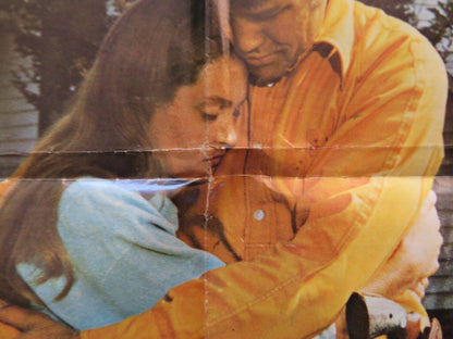 WALKING TALL - STYLE C FOLDED US ONE SHEET POSTER JOE DON BAKER 1973 Movie posters