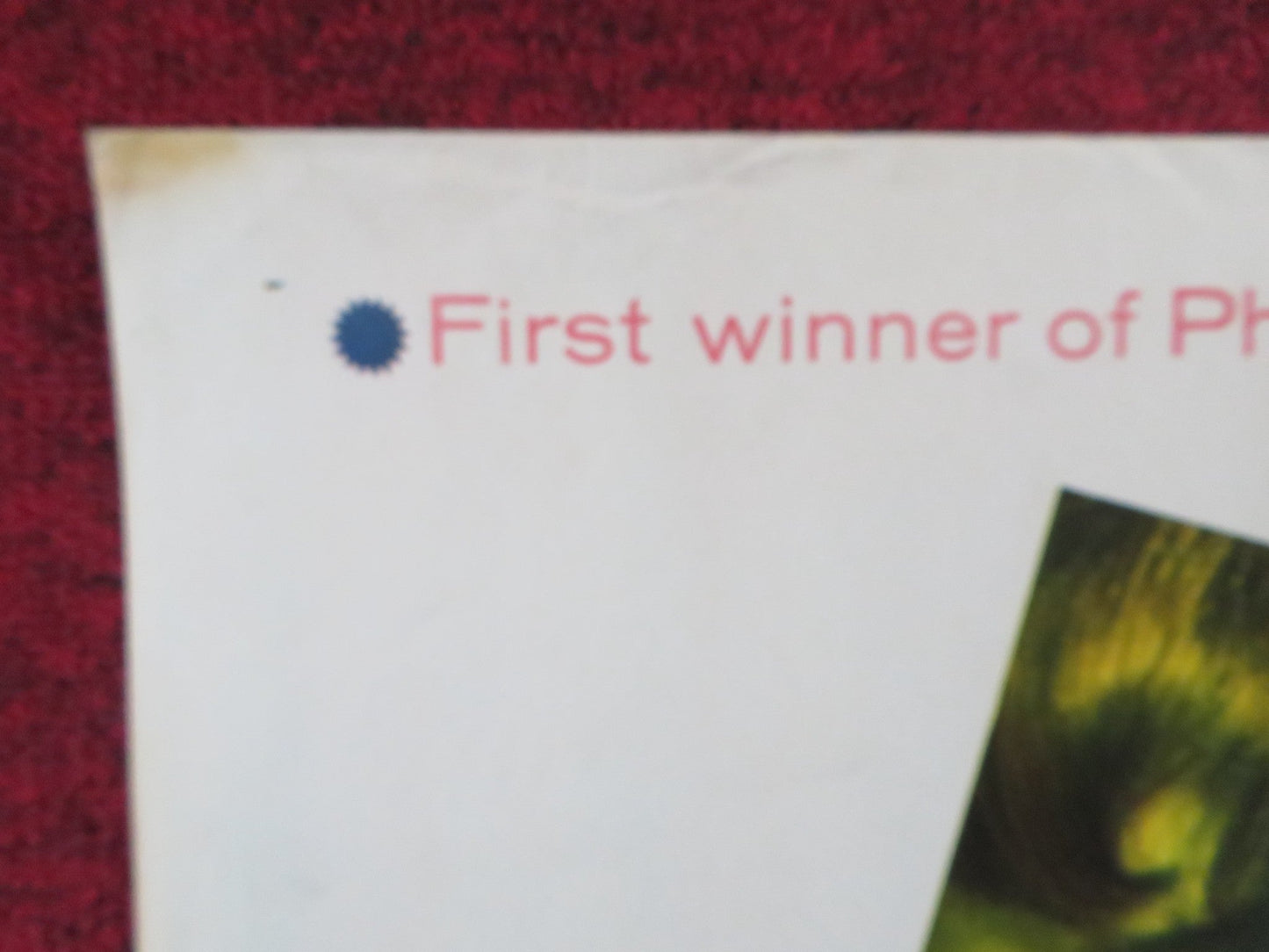 WALL OF NOISE HALF SHEET (22"x 28") POSTER SUZANNE PLESHETTE TY HARDIN 1963 Rendezvous Cinema Movie posters