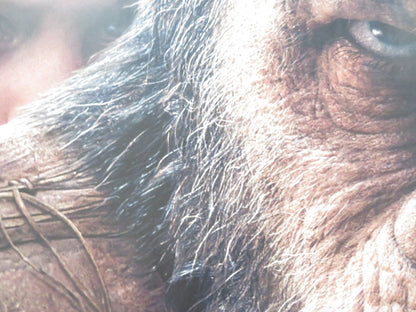 WAR OF THE PLANET OF THE APES UK QUAD ROLLED POSTER ANDY SERKIS WOODY HARRELSON Rendezvous Cinema Movie posters