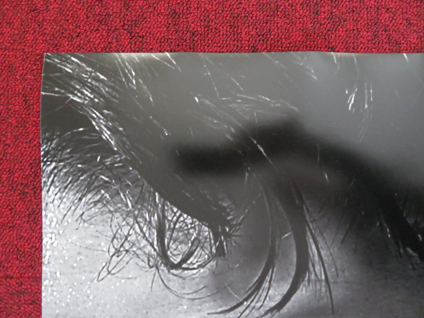 WARRIOR - b US ONE SHEET ROLLED POSTER TOM HARDY JOEL EDGERTON 2011 Rendezvous Cinema Movie posters