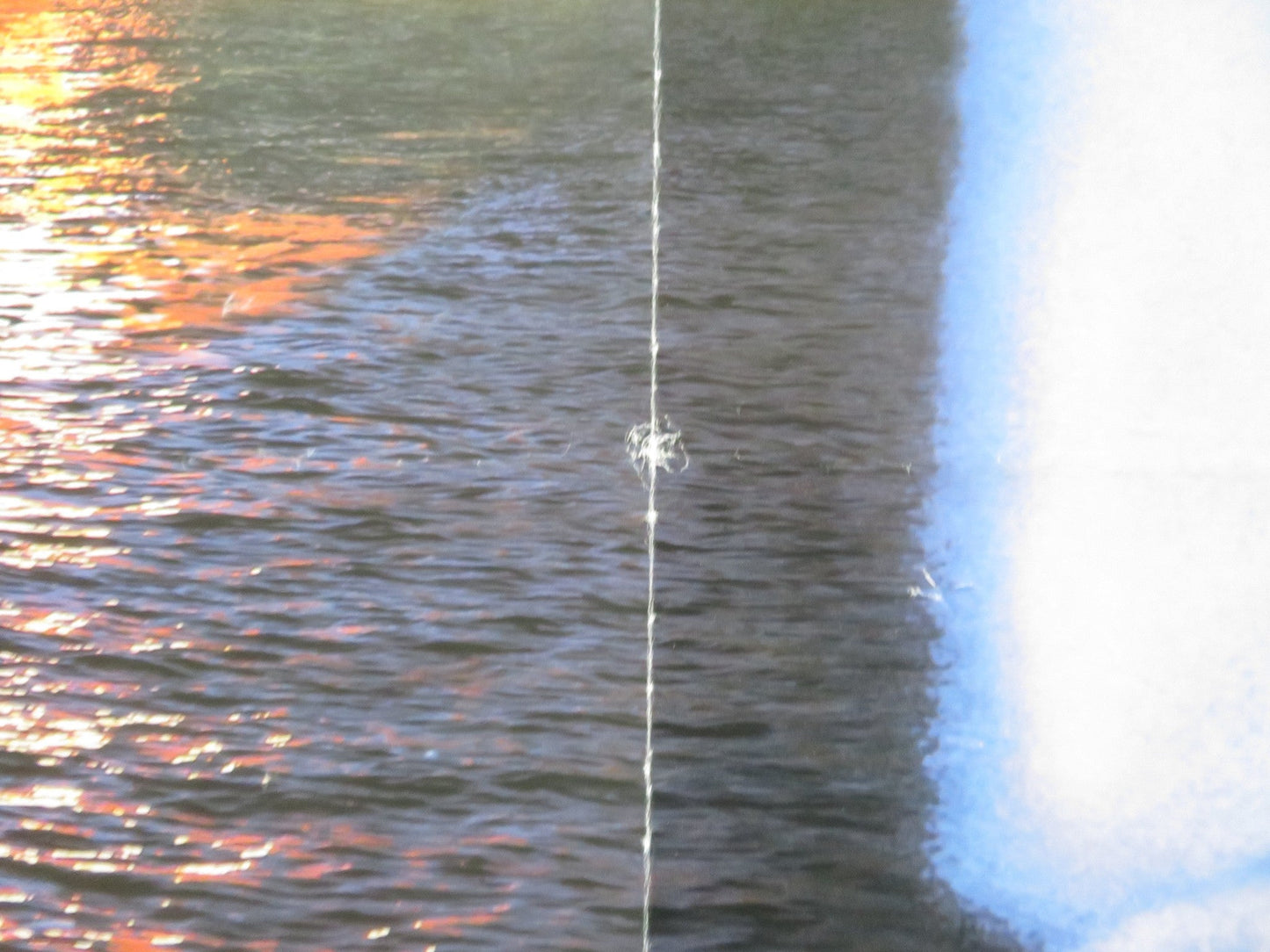 WATERWORLD UK QUAD (30"x 40") ROLLED POSTER KEVIN COSTNER DENNIS HOPPER 1995 Rendezvous Cinema Movie posters