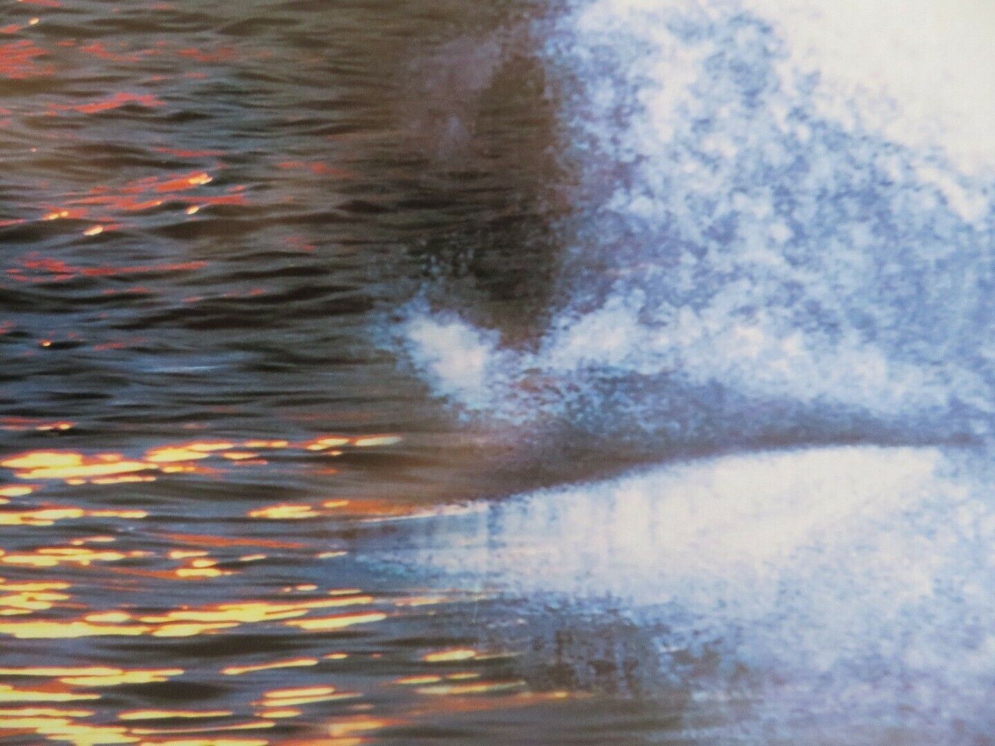 WATERWORLD US ONE SHEET ROLLED POSTER KEVIN KOSTNER DENNIS HOPPER 1995 Movie posters