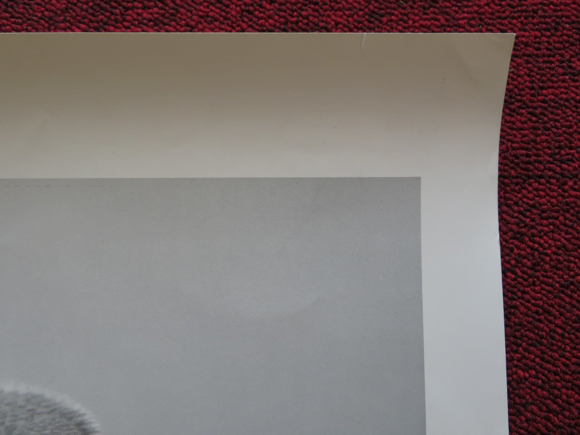 W.C FIELDS - A PORTRAIT POSTER COMEDY Rendezvous Cinema Movie posters