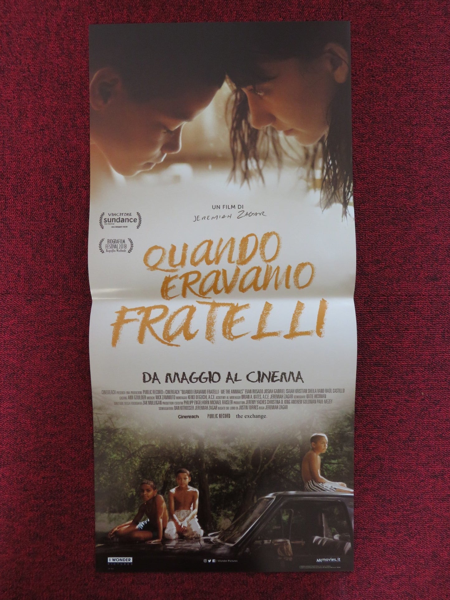 WE THE ANIMALS ITALIAN LOCANDINA POSTER EVAN ROSADO RAUL CASTILLO 2018 Rendezvous Cinema Movie posters