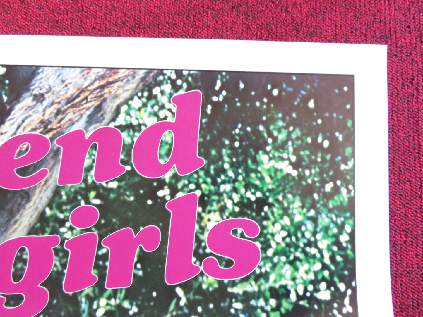 WEEKEND COWGIRLS US TRI FOLDED ONE SHEET ROLLED POSTER DEBBIE TRUELOVE 1982 Rendezvous Cinema Movie posters