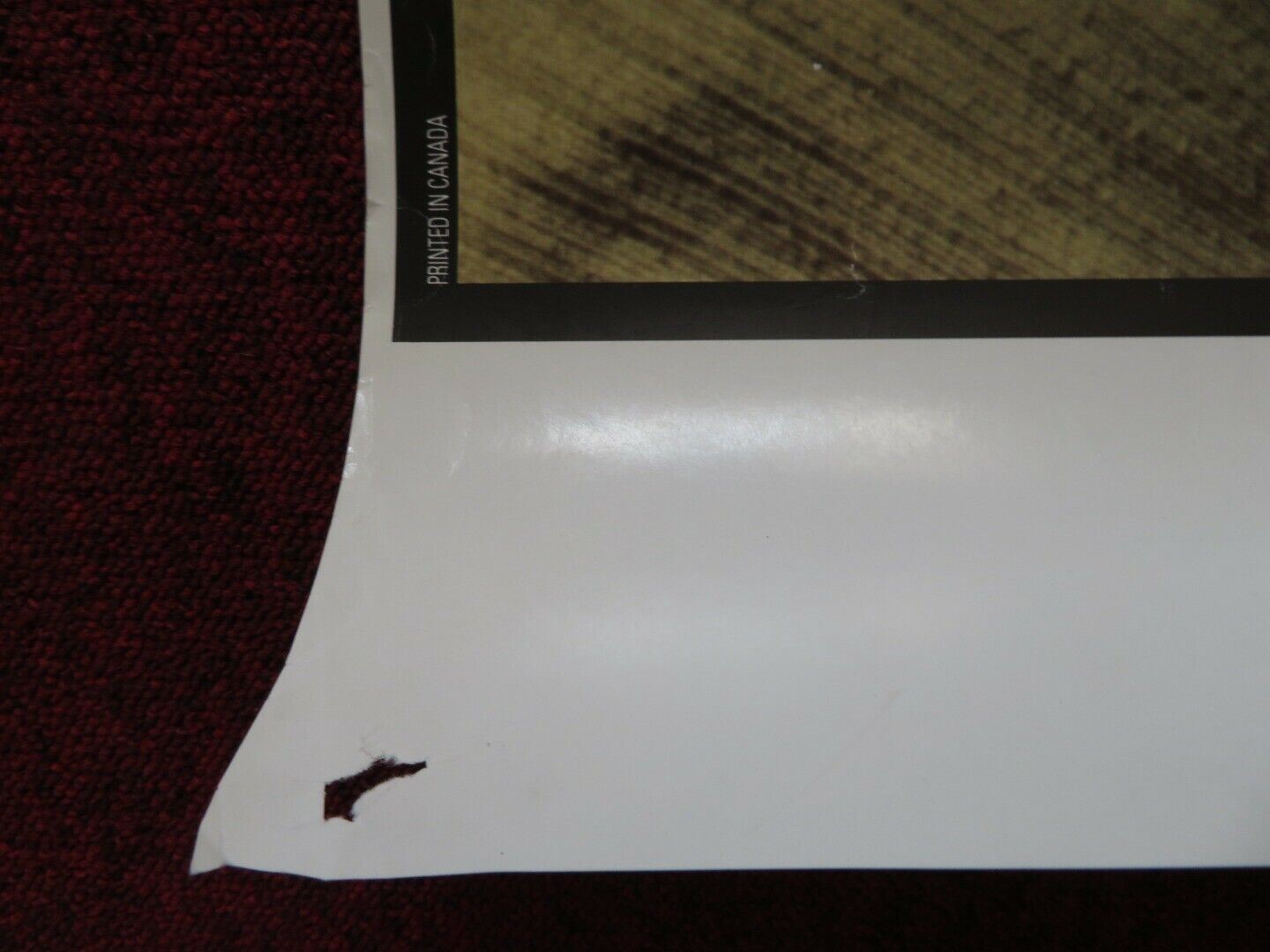 WELCOME TO CANADA US ONE SHEET ROLLED POSTER NOREEN POWER BRENDAN FOLEY 1989 - Rendezvous Cinema