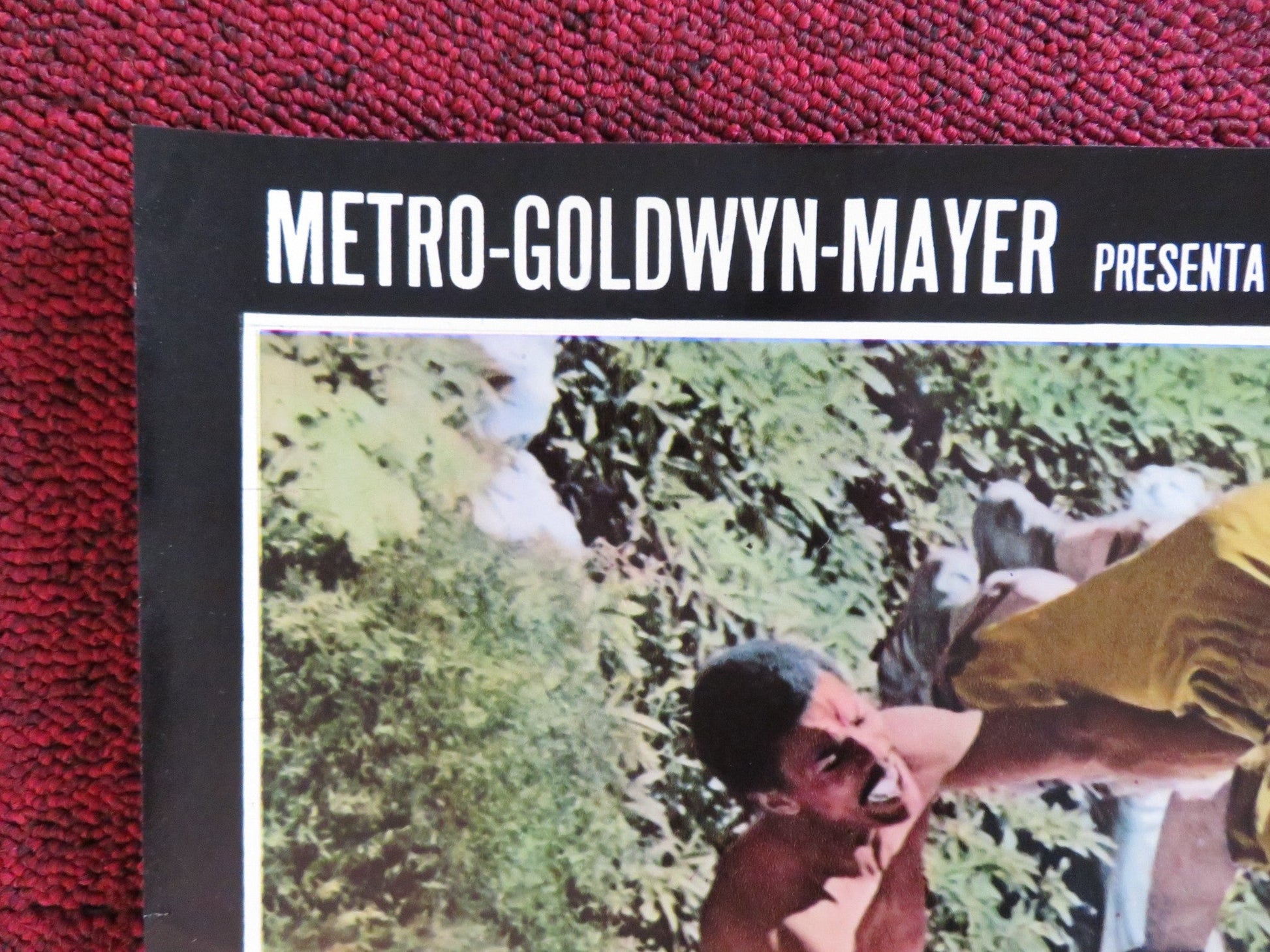 WESTWORLD - B ITALIAN FOTOBUSTA POSTER YUL BRYNNER JAMES BROLIN 1973 Rendezvous Cinema Movie posters