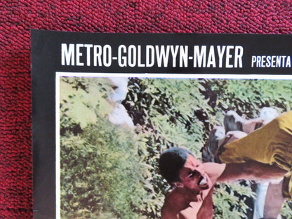 WESTWORLD - B ITALIAN FOTOBUSTA POSTER YUL BRYNNER JAMES BROLIN 1973 Rendezvous Cinema Movie posters
