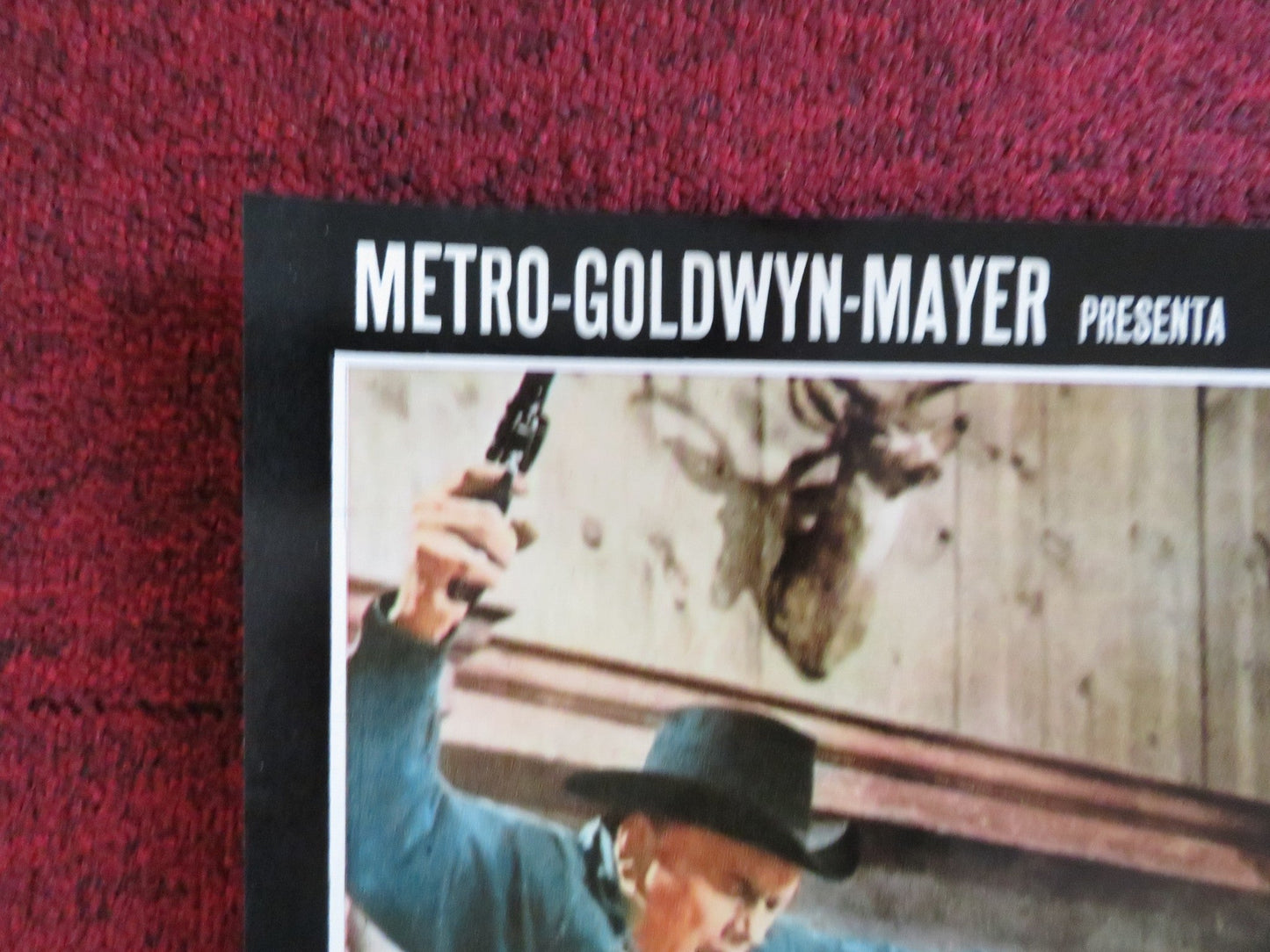 WESTWORLD - G ITALIAN FOTOBUSTA POSTER YUL BRYNNER JAMES BROLIN 1973 Rendezvous Cinema Movie posters