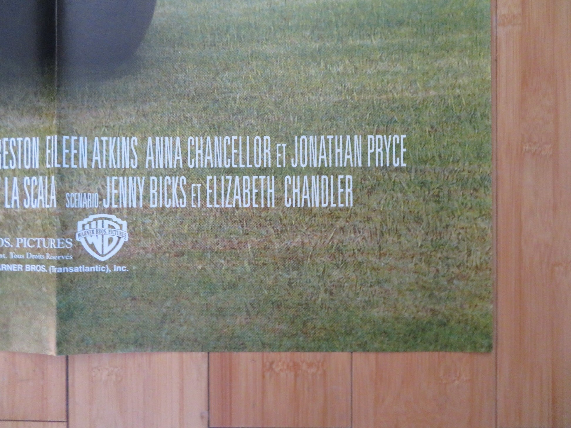 WHAT A GIRL WANTS FRENCH GRANDE POSTER COLIN FIRTH AMANDA BYNES 2003 Rendezvous Cinema Movie posters