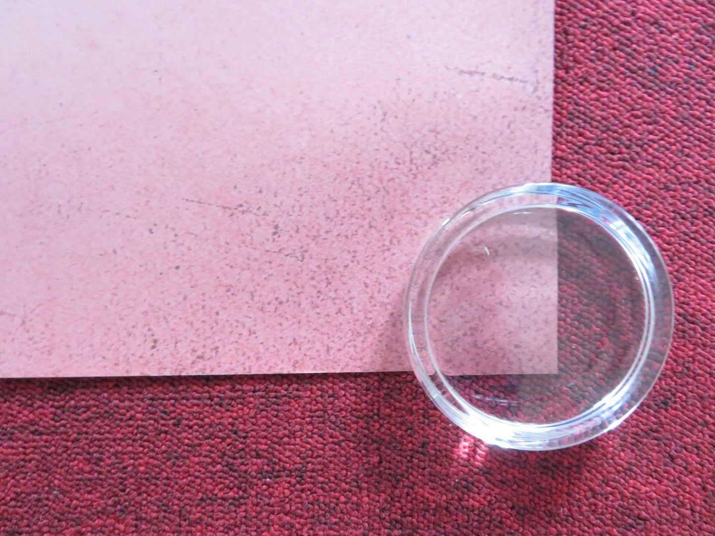 WHAT THEY HAD UK QUAD (30"x 40") ROLLED POSTER HILARY SWANK MICHAEL SHANNON 2018 Rendezvous Cinema Movie posters