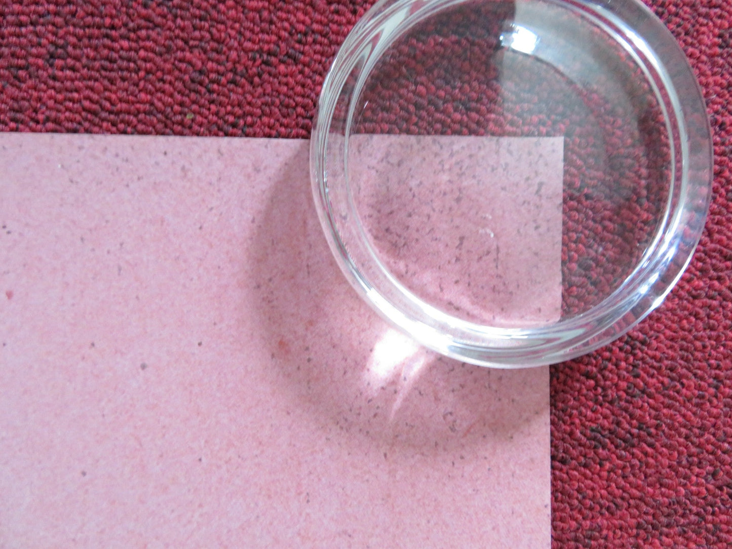 WHAT THEY HAD UK QUAD (30"x 40") ROLLED POSTER HILARY SWANK MICHAEL SHANNON 2018 Rendezvous Cinema Movie posters