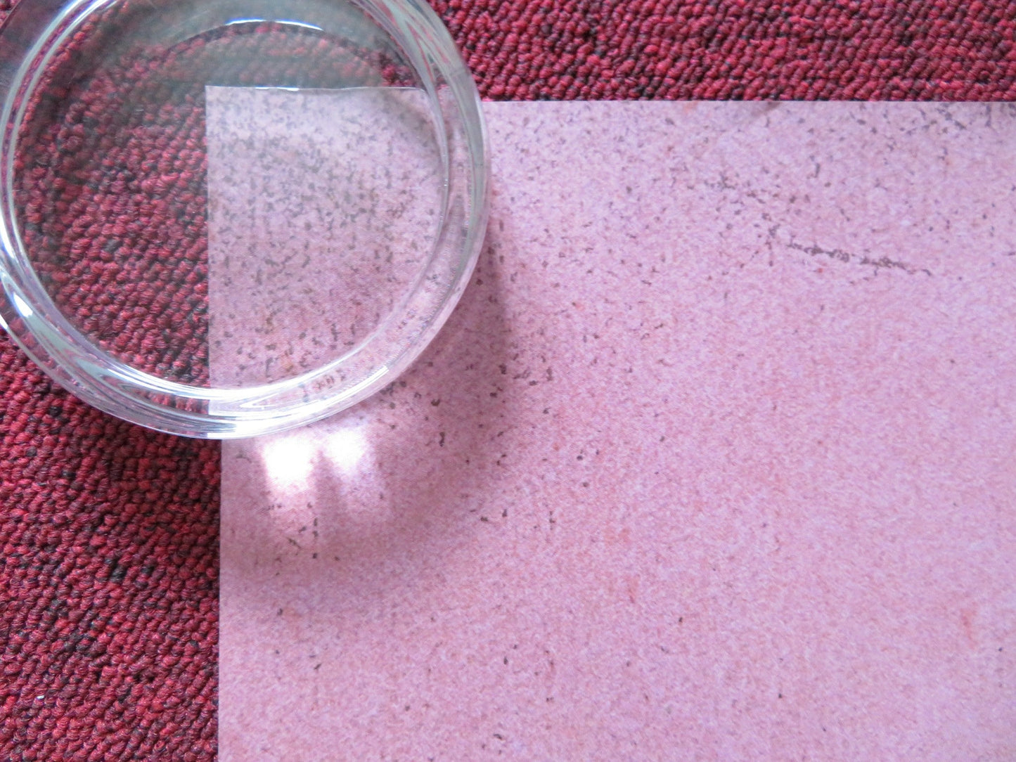 WHAT THEY HAD UK QUAD (30"x 40") ROLLED POSTER HILARY SWANK MICHAEL SHANNON 2018 Rendezvous Cinema Movie posters