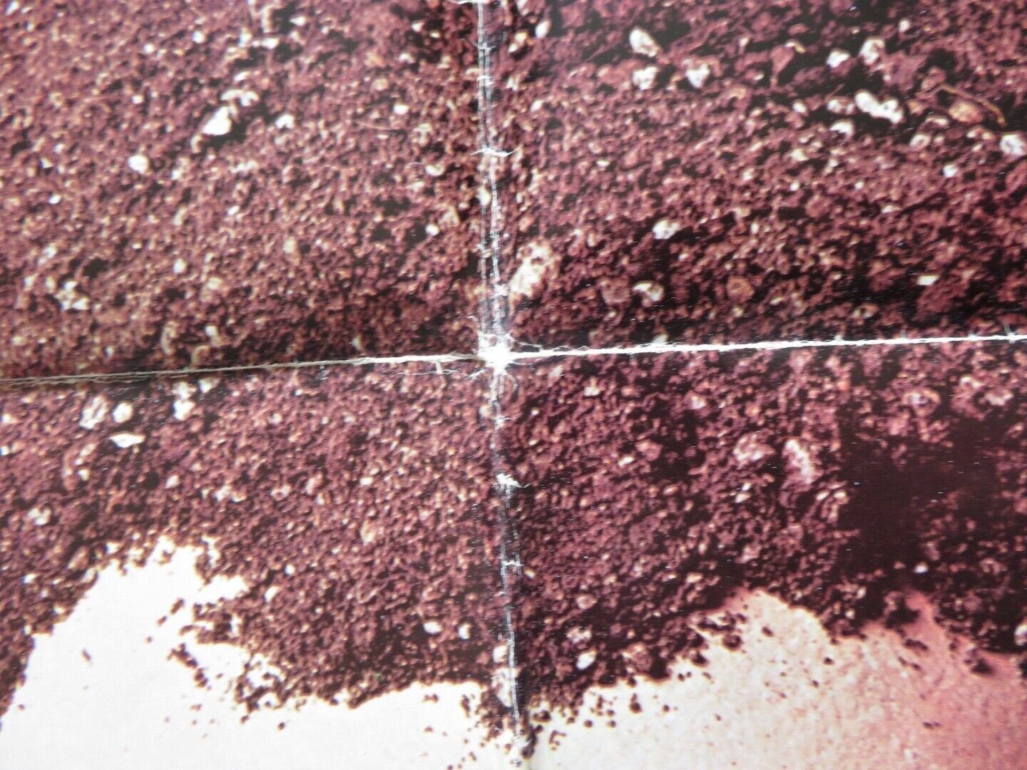 WHATEVER HAPPENED TO AUNT ALICE FOLDED US ONE SHEET POSTER GERALDINE PAGE 1969 Movie posters