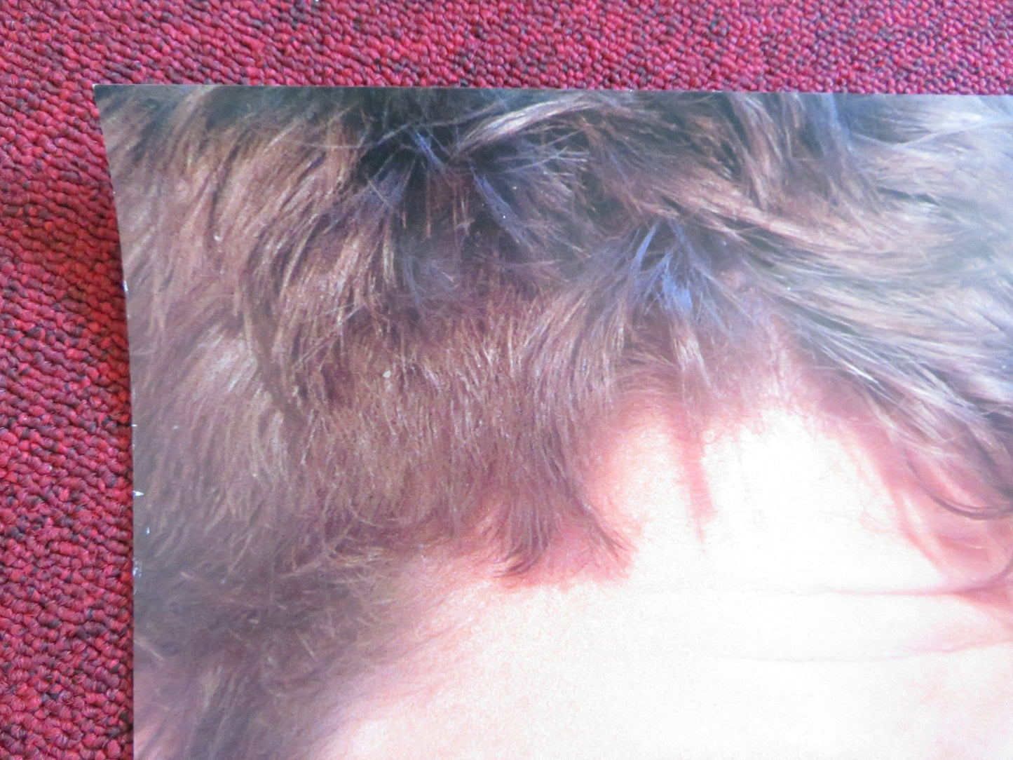 WHATEVER IT TAKES US ONE SHEET ROLLED POSTER SHANE WEST JODI LYN O'KEEFE 2000 Rendezvous Cinema Movie posters