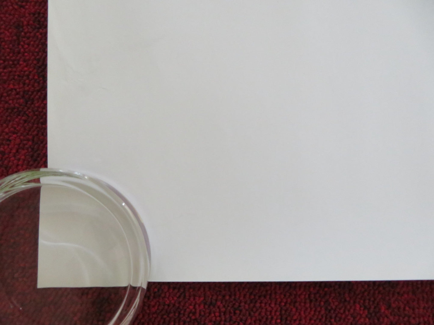 WHAT'S YOUR NUMBER? UK QUAD (30"x 40") ROLLED POSTER ANNA FARIS CHRIS EVANS 2011 Rendezvous Cinema Movie posters