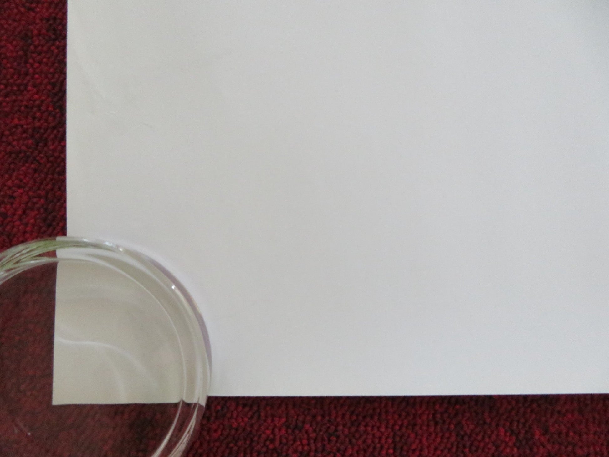 WHAT'S YOUR NUMBER? UK QUAD (30"x 40") ROLLED POSTER ANNA FARIS CHRIS EVANS 2011 Rendezvous Cinema Movie posters