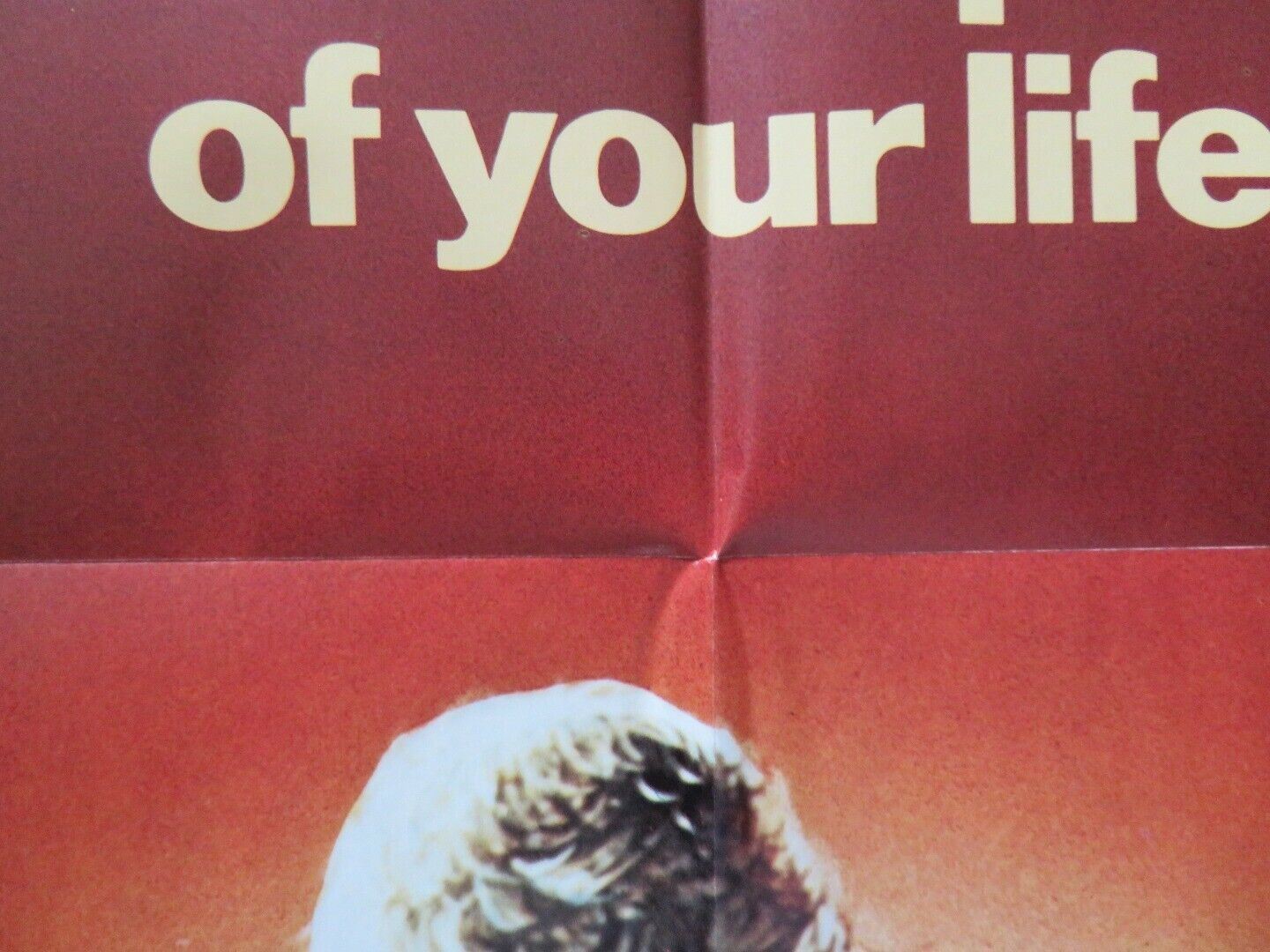 WHEN YOU COMIN' BACK, RED RYDER FOLDED US ONE SHEET POSTER MARJOE GORTNER 1979 Movie posters